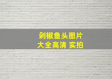 剁椒鱼头图片大全高清 实拍